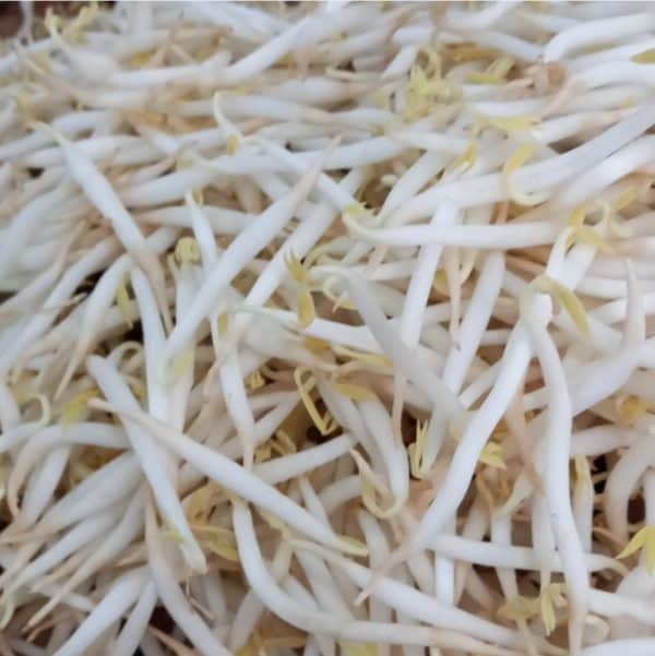 taoge mayosi 250 g