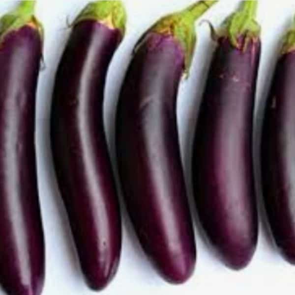 terong ungu 1 kg
