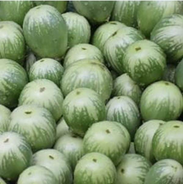 terong lalap 250 g