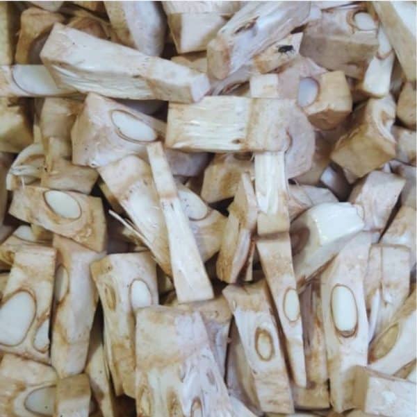 nangka muda 1 kg