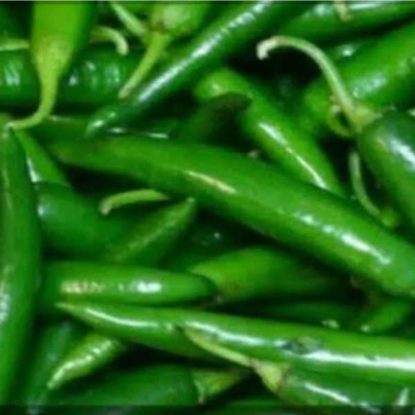 cabe hijau besar 100 g
