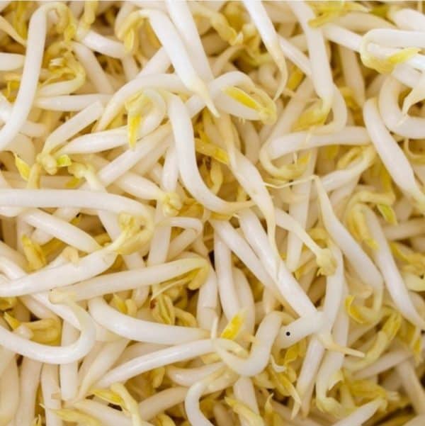 taoge kriting (  biasa ) 250 g