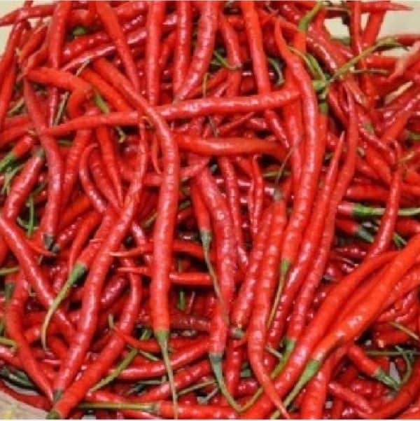 cabe merah  kriting 250  g