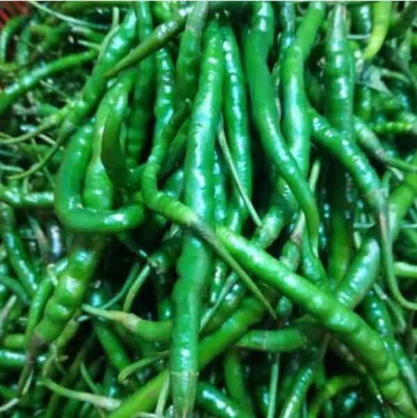 cabe hijau kriting 1 kg
