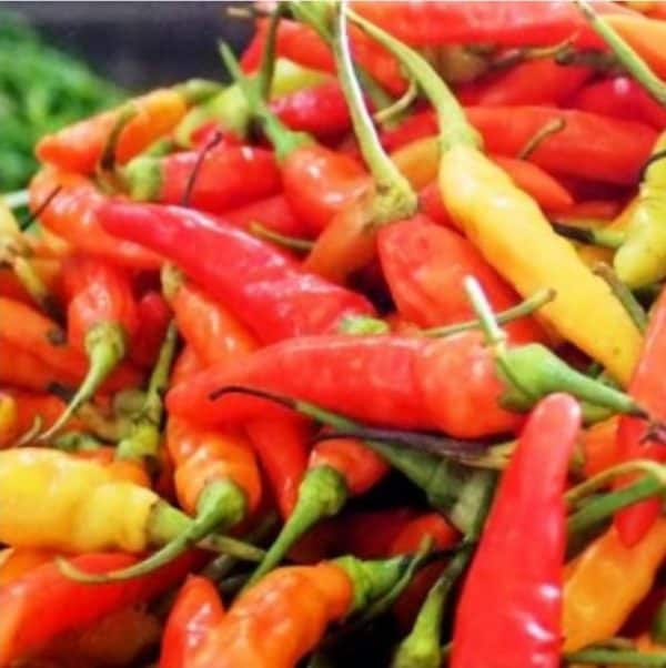 cabe metah rawit 500 g