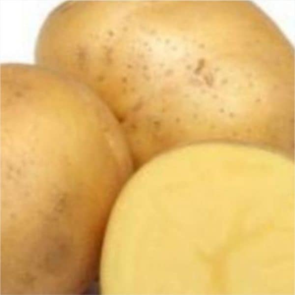 kentang kuning dieng tanggung 1kg