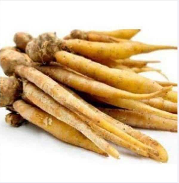 temu kunci 1 paket 5 rb