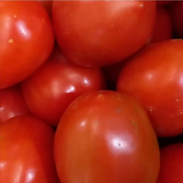 tomat merah 500 g