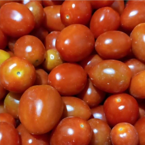 tomat cery 100 g
