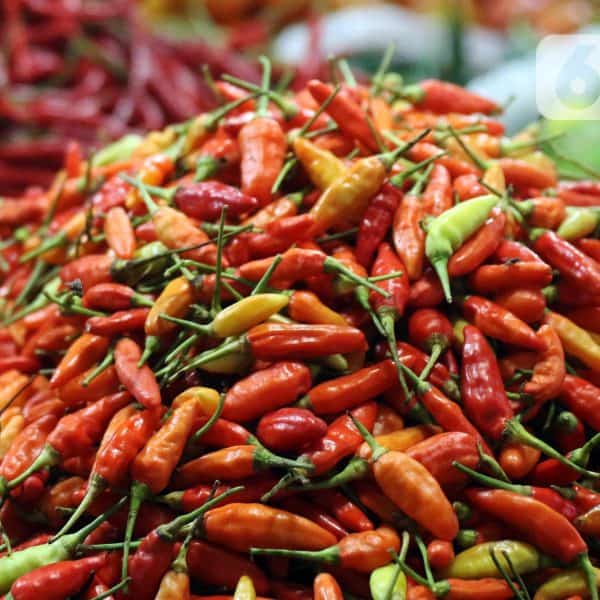 Cabai rawit merah