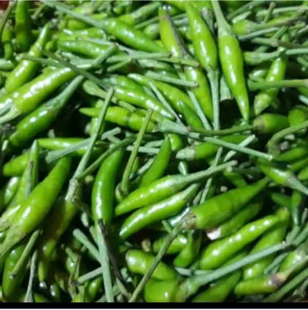 cabe hijau caplak 1 kg