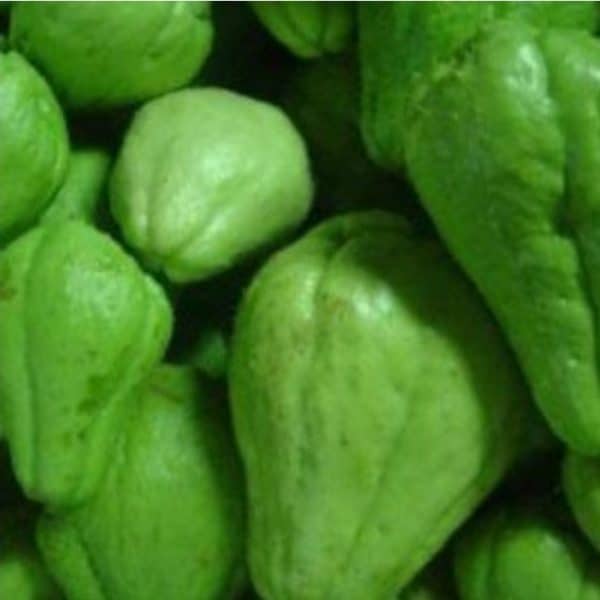 labu lalap 1 kg