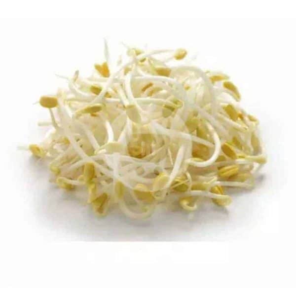 Tauge 250 g