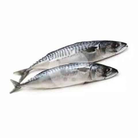 Ikan Saleem 1 kg