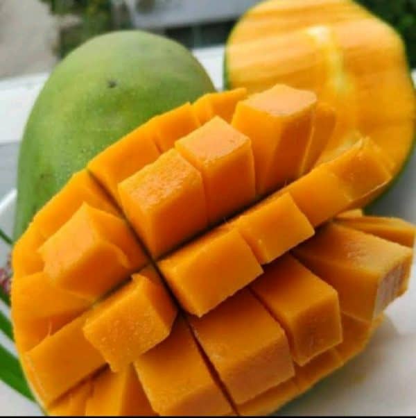 Mangga Harum manis 1 kg