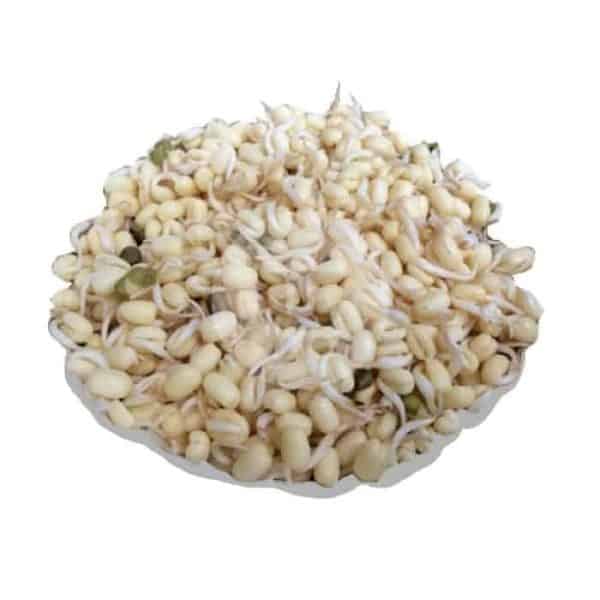 Tauge Pendek 250 g
