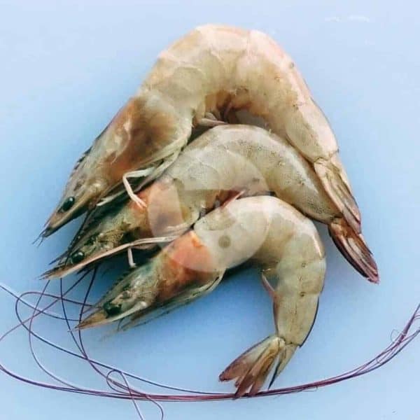 Udang Ukuran Sedang 500 g