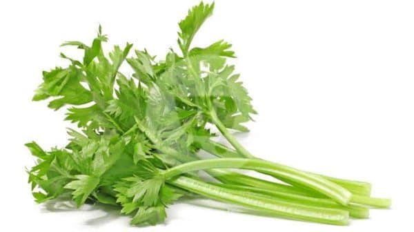 Seledri 250g