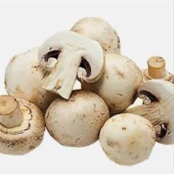 Jamur Kancing 250 g