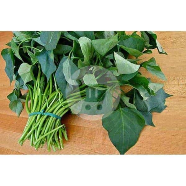 Daun Ubi / Ikat