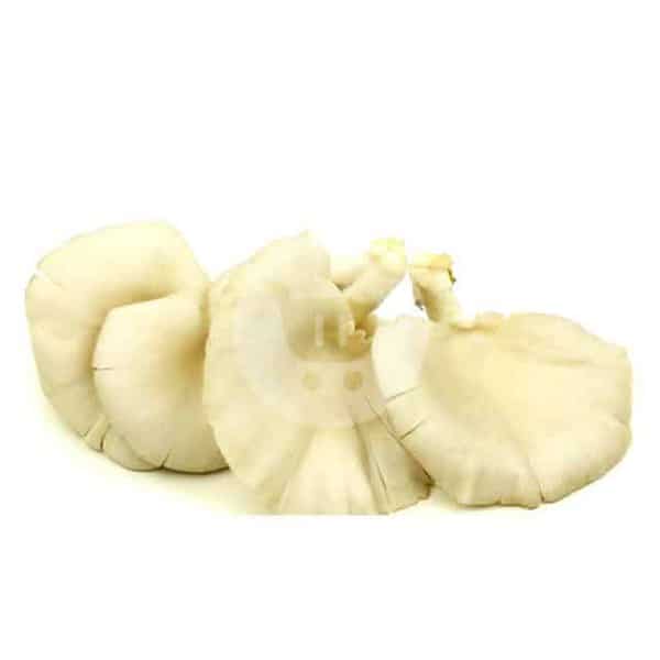 Jamur Tiram 250 g