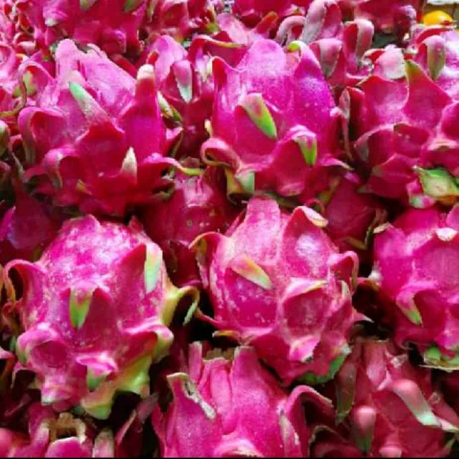 Buah Naga 1 kg