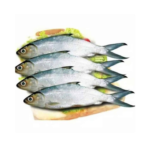 Ikan Bandeng Basah Ukuran Besar 1 kg
