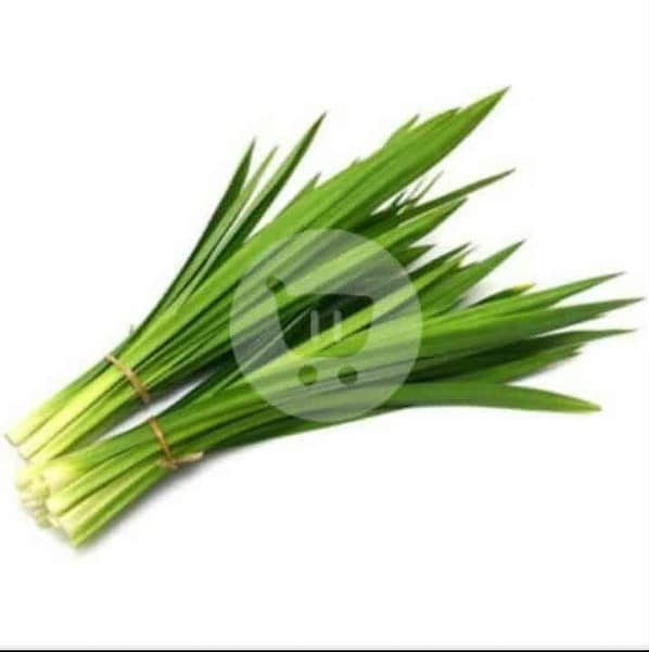 Daun Pandan 1 Ikat