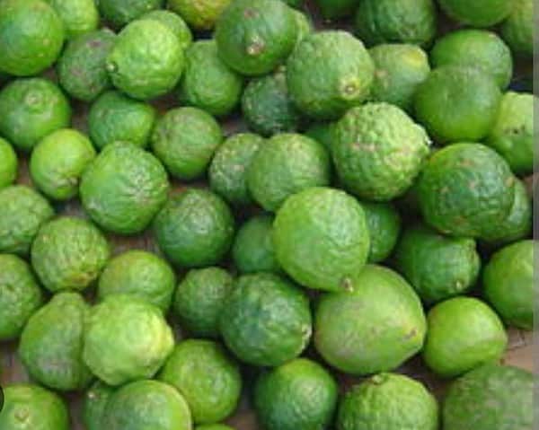 Jeruk Limau 100 gram